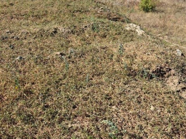 продажа загородная поселок Сосны улица Севастопольская