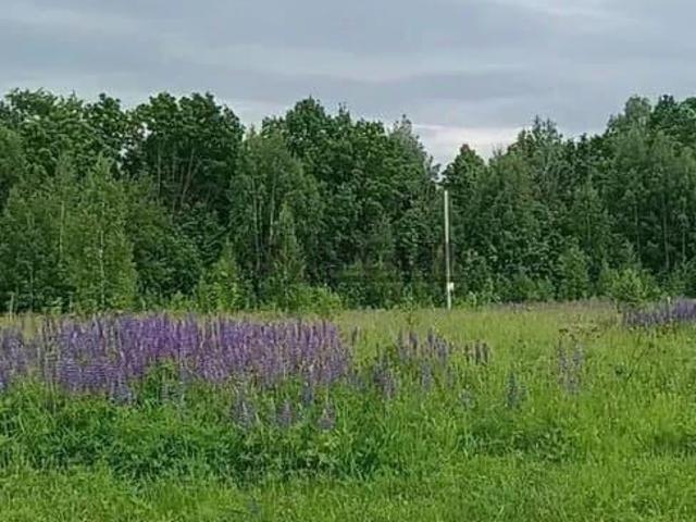 продажа загородная поселок Светлое Озеро улица Зеленая, 17