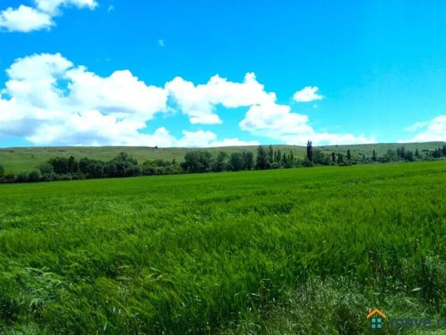 продажа загородная Ростов на Дону проспект Шолохова, зд 306б