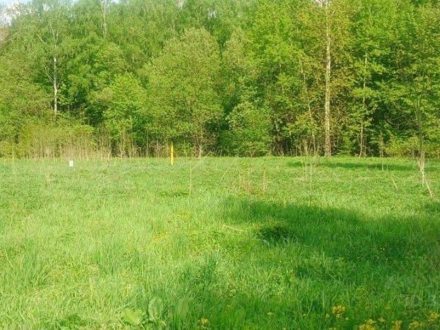 продажа загородная рабочий поселок Новогуровский улица Осиновая, 21