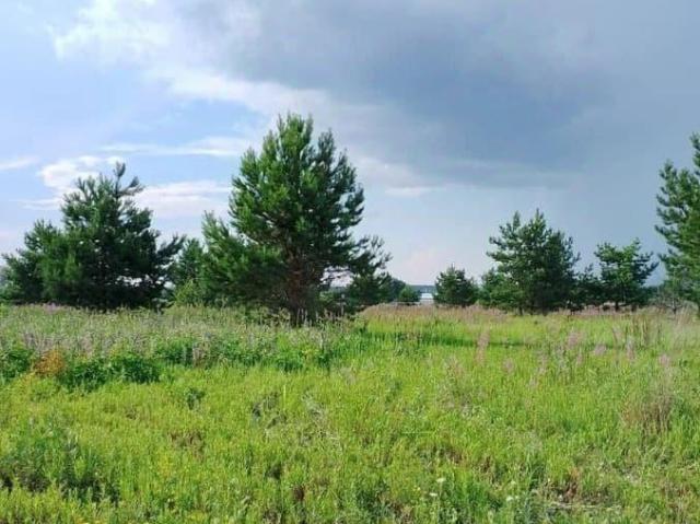 продажа загородная рабочий поселок Новая Ляда улица Спортивная, 11