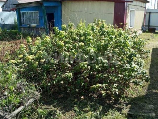 продажа загородная рабочий поселок Чаны улица Ленина