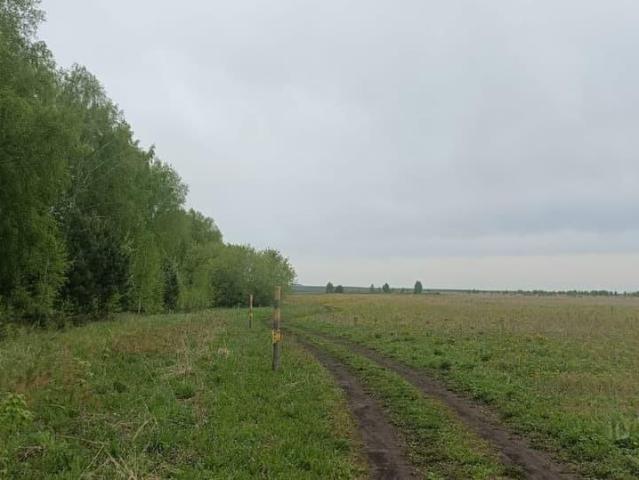 продажа загородная рабочий поселок Колывань улица Бунина