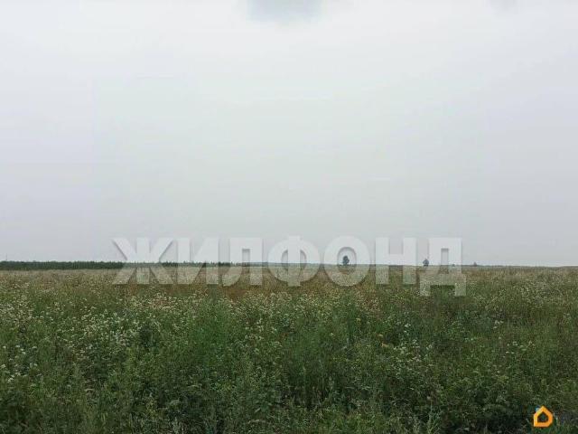 продажа загородная рабочий поселок Колывань улица Бунина