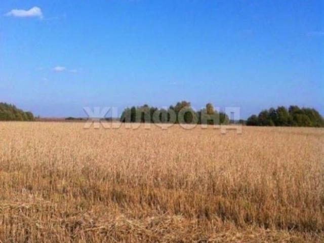 продажа загородная рабочий поселок Колывань улица Маяковского
