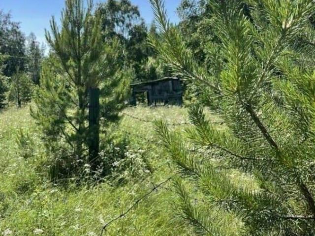 продажа загородная рабочий поселок Листвянка улица Гудина