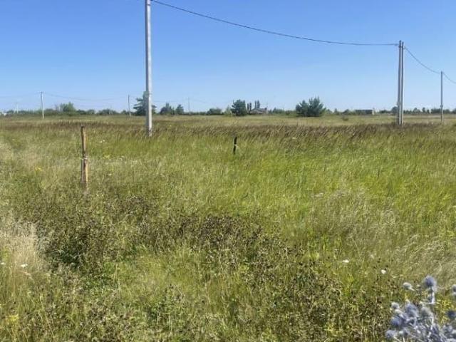 продажа загородная рабочий поселок Рамонь улица Зеленая, 10