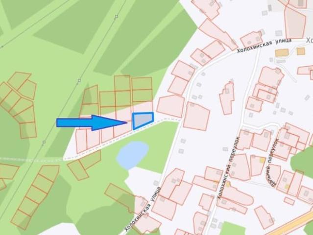 продажа загородная рабочий поселок Струги Красные улица Холохинская