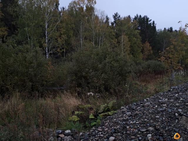 продажа загородная рабочий поселок Шушенское улица Королева, 11