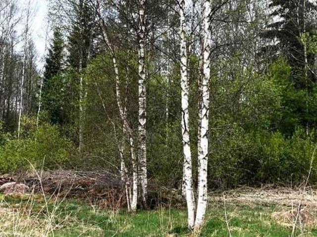 продажа загородная Рыбинск улица Шолохова