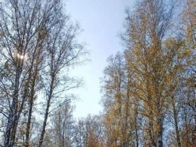 продажа загородная Топки улица Заречная