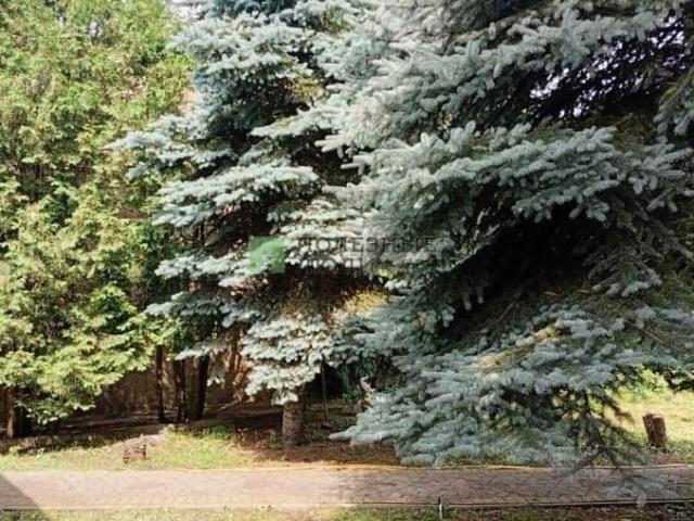 продажа загородная Тамбов Карьерная улица, 83