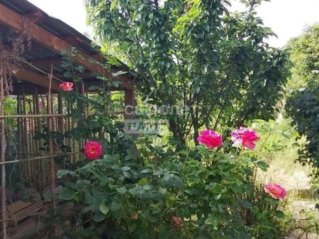 продажа загородная Темрюк улица Грибоедова