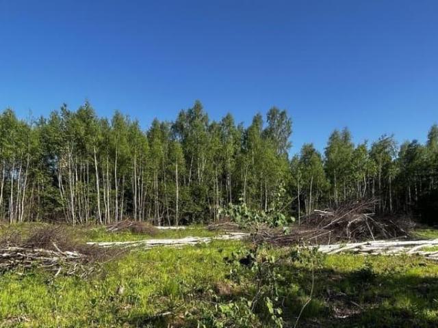 продажа загородная Жуков 4 я Родниковая улица, 1