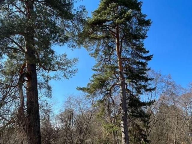 продажа загородная Жуков Озерная улица