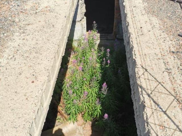 продажа загородная Улан Удэ улица Королева, 33