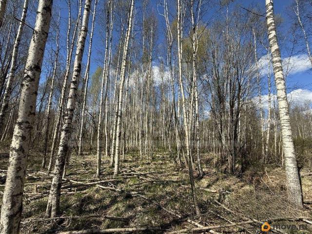 продажа загородная Выборг улица Младших Командиров