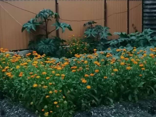 продажа загородная Заозерный улица 8 Марта, 5