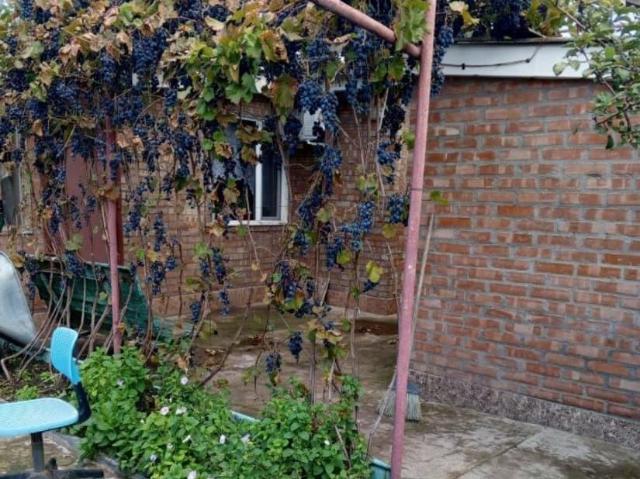 продажа загородная Зерноград улица Пушкина, 16