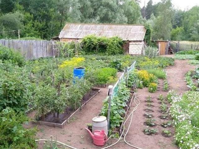 Дом на продажу: Коноваловка Самарская Область