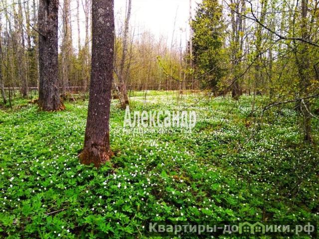 Продается участок в Ленинградской области площадью 9.8 сот. За 500000 рублей