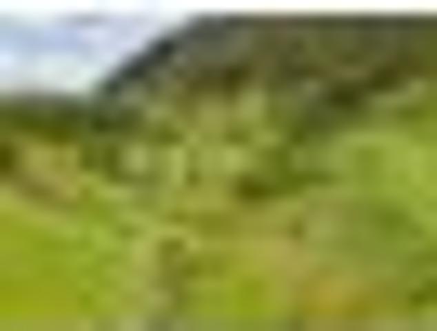 Productive farmland meets timeless rural beauty