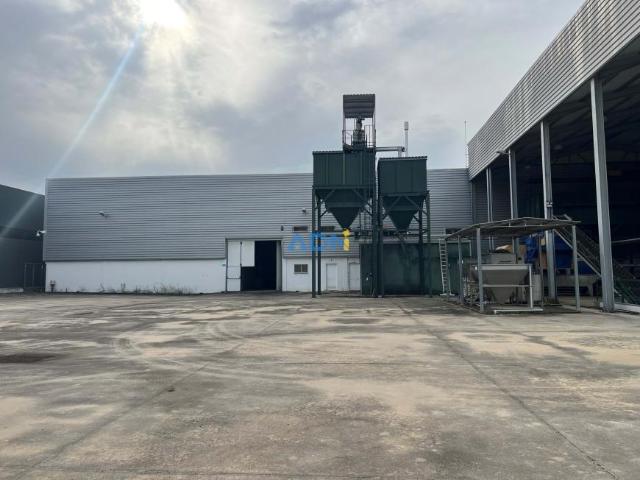 Proença Castelo Branco LS98364853