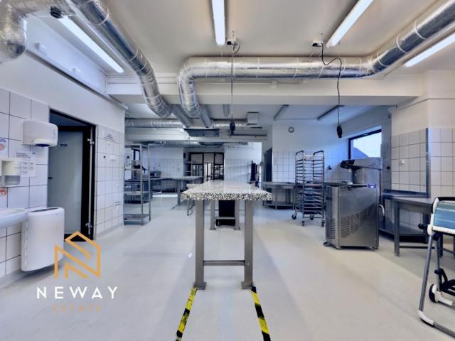 Profesora Jana Ślaskiego 483,71 m², Kraków