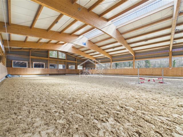Professionelle Reitanlage mit 24 Boxen, Reithalle und Wohnhaus