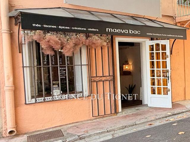 professionnel local commercial