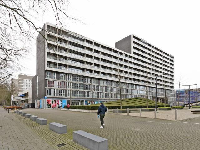 Professor de Moorplein, 11