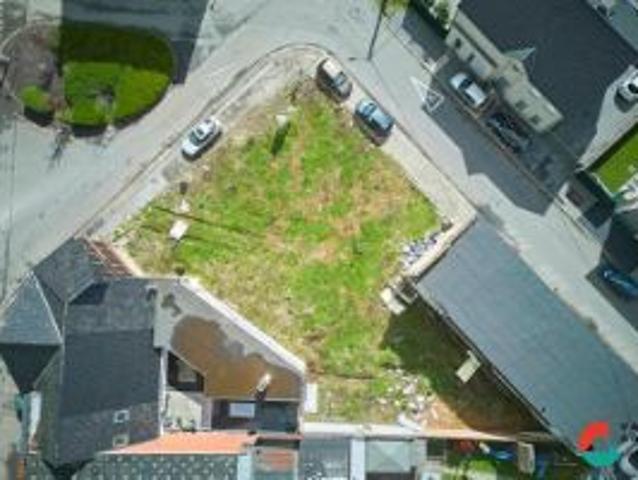 Projectgrond