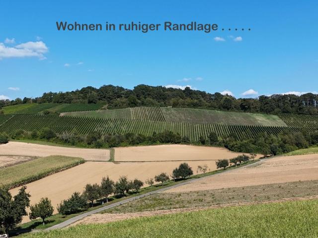 Projekt: Weinbergblick: Moderne Doppelhaushälfte in exklusiver RAND LAGE, Haus inklusive Grundstück