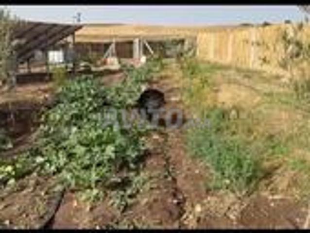 Projet de ferme