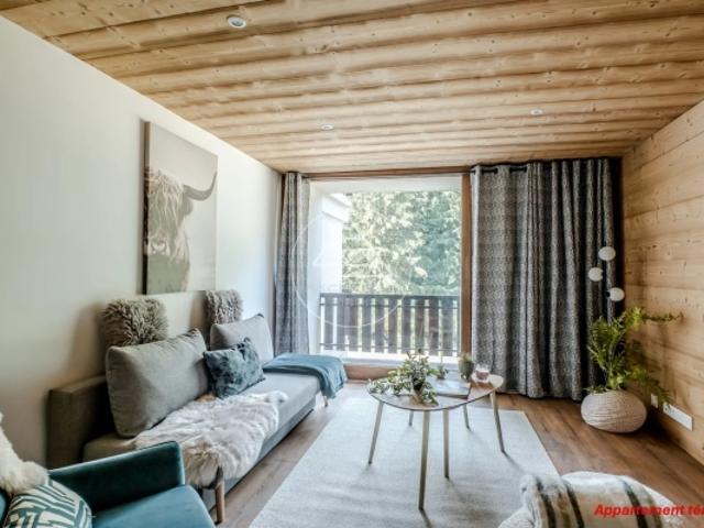 Projet de rénovation Appartement de 1 chambre / Saint Jean d'Aulps