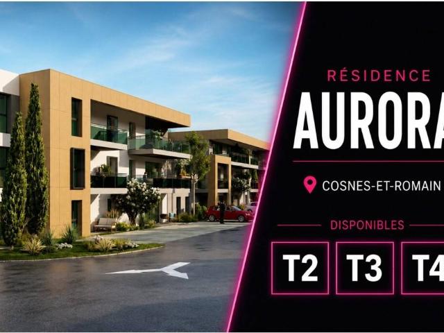 Projet en Vente à Cosnes et Romain