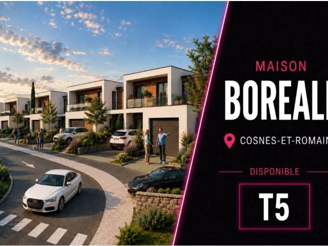Projet en Vente à Cosnes et Romain