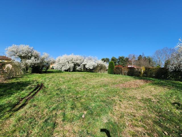 Projet Terrain+maison ST EUPHEMIE