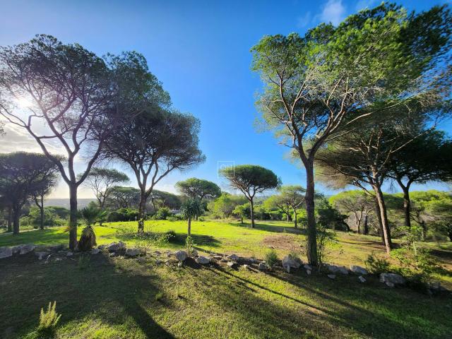 PROJETO: Quinta da Calma – Um Centro de Retiro Pioneiro com uma Moradia Privada de 3 Quartos em 7 ha perto do Triângulo Dourado, Almancil, Loulé