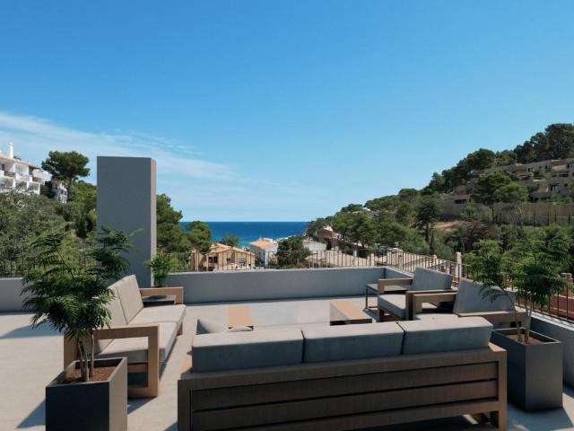 Promoción de nueva construcción con jardín privado y piscina. 2430m² De sa Riera