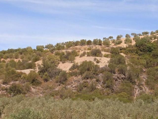 Promoción de terrenos en venta en pre. el jeme, polígono 60 en Morón de la Frontera