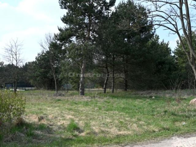 Promyka 1 583 m², Stary Adamów