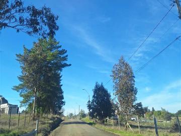 Propiedad Agricola en Arriendo en Laja