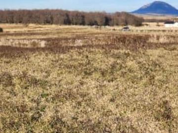 Propiedad Agricola en Venta en Coyhaique