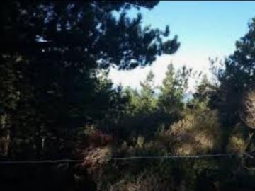 Propiedad Agricola en Venta en Casablanca
