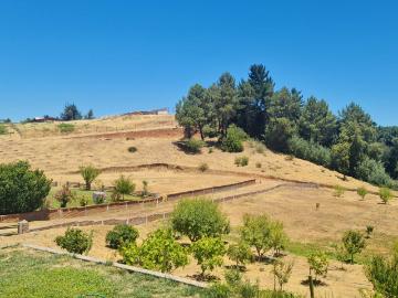Propiedad Agricola en Venta en Quillón