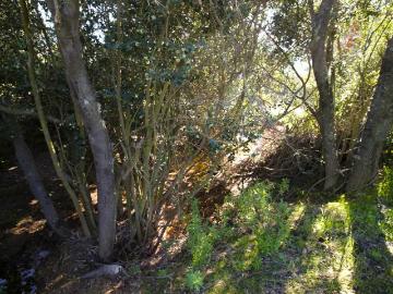 Propiedad Agricola en Venta en Quilpué 5 dormitorios 2 baños