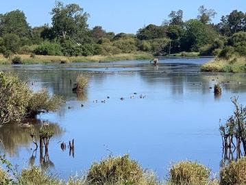 Propiedad Agricola en Venta en Río Negro