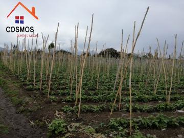 Propiedad de Venta Urcuqui, Ecuador