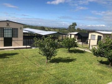Propiedad en Venta, Comunidad Barrón, Gto